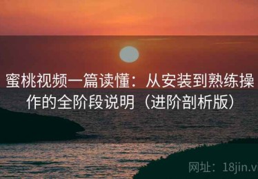 蜜桃视频一篇读懂：从安装到熟练操作的全阶段说明（进阶剖析版）