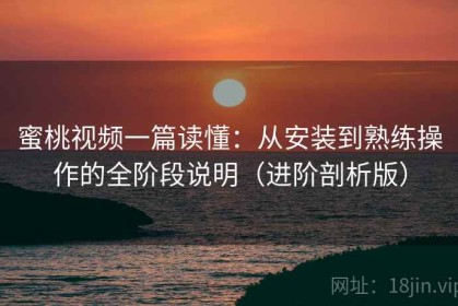 蜜桃视频一篇读懂：从安装到熟练操作的全阶段说明（进阶剖析版）