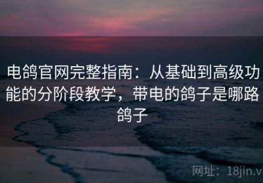 电鸽官网完整指南：从基础到高级功能的分阶段教学，带电的鸽子是哪路鸽子