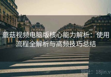 蘑菇视频电脑版核心能力解析：使用流程全解析与高频技巧总结