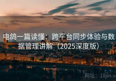 电鸽一篇读懂：跨平台同步体验与数据管理讲解（2025深度版）