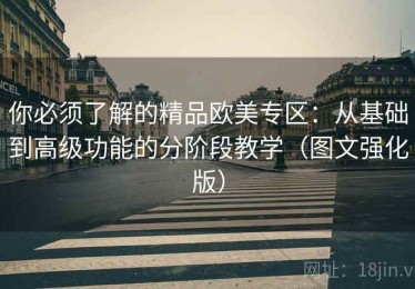你必须了解的精品欧美专区：从基础到高级功能的分阶段教学（图文强化版）