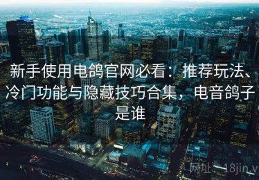 新手使用电鸽官网必看：推荐玩法、冷门功能与隐藏技巧合集，电音鸽子是谁