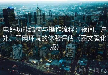 电鸽功能结构与操作流程：夜间、户外、弱网环境的体验评估（图文强化版）