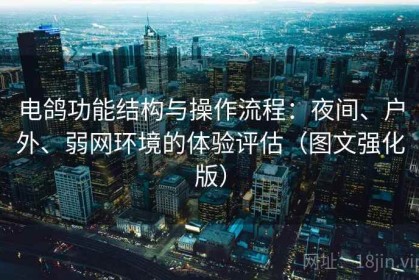 电鸽功能结构与操作流程：夜间、户外、弱网环境的体验评估（图文强化版）