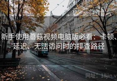 新手使用蘑菇视频电脑版必看：卡顿、延迟、无法访问时的排查路径