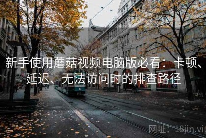 新手使用蘑菇视频电脑版必看：卡顿、延迟、无法访问时的排查路径