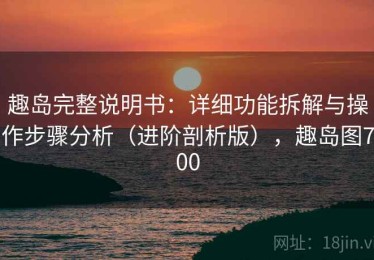 趣岛完整说明书：详细功能拆解与操作步骤分析（进阶剖析版），趣岛图700