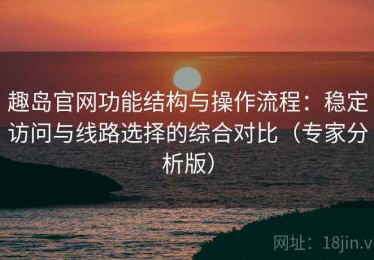 趣岛官网功能结构与操作流程：稳定访问与线路选择的综合对比（专家分析版）