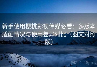 新手使用樱桃影视传媒必看：多版本适配情况与使用差异对比（图文对照版）