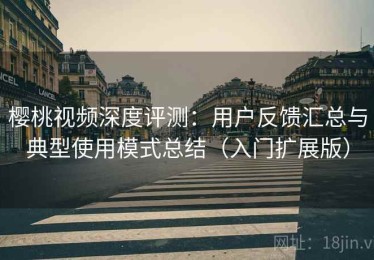 樱桃视频深度评测：用户反馈汇总与典型使用模式总结（入门扩展版）