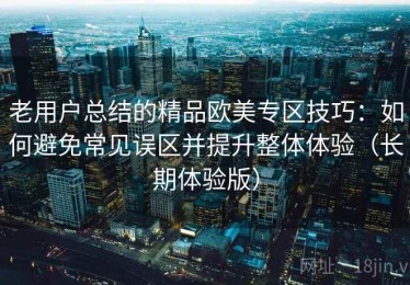 老用户总结的精品欧美专区技巧：如何避免常见误区并提升整体体验（长期体验版）