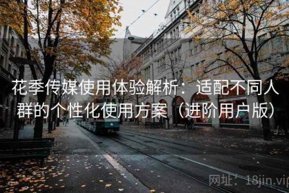 花季传媒使用体验解析：适配不同人群的个性化使用方案（进阶用户版）