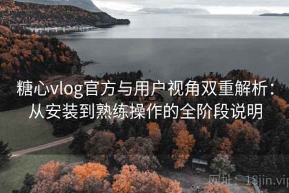 糖心vlog官方与用户视角双重解析：从安装到熟练操作的全阶段说明
