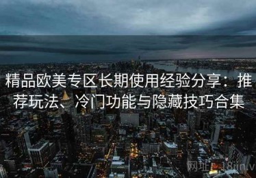 精品欧美专区长期使用经验分享：推荐玩法、冷门功能与隐藏技巧合集