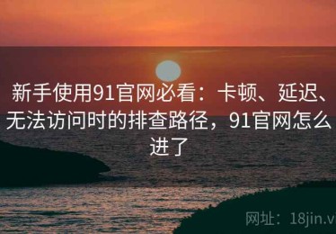 新手使用91官网必看：卡顿、延迟、无法访问时的排查路径，91官网怎么进了