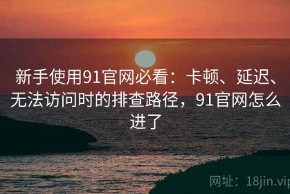 新手使用91官网必看：卡顿、延迟、无法访问时的排查路径，91官网怎么进了