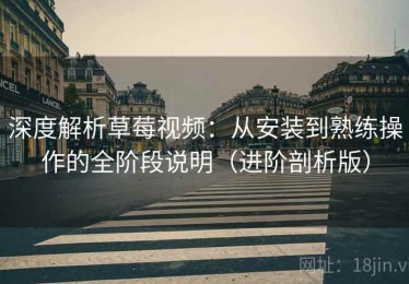 深度解析草莓视频：从安装到熟练操作的全阶段说明（进阶剖析版）