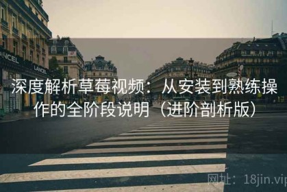 深度解析草莓视频：从安装到熟练操作的全阶段说明（进阶剖析版）