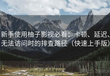 新手使用柚子影视必看：卡顿、延迟、无法访问时的排查路径（快速上手版）
