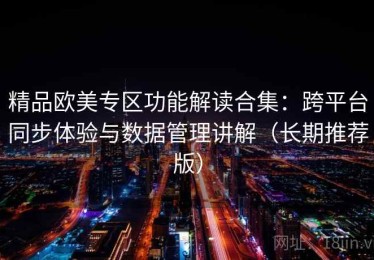 精品欧美专区功能解读合集：跨平台同步体验与数据管理讲解（长期推荐版）