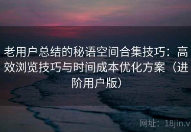 老用户总结的秘语空间合集技巧：高效浏览技巧与时间成本优化方案（进阶用户版）