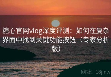 糖心官网vlog深度评测：如何在复杂界面中找到关键功能按钮（专家分析版）