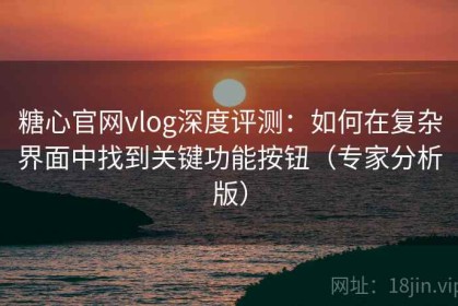 糖心官网vlog深度评测：如何在复杂界面中找到关键功能按钮（专家分析版）