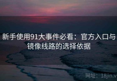 新手使用91大事件必看：官方入口与镜像线路的选择依据