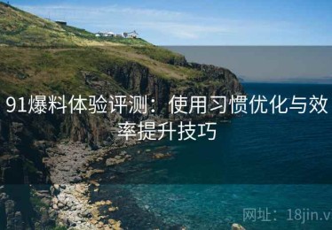 91爆料体验评测：使用习惯优化与效率提升技巧