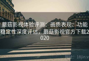 蘑菇影视体验评测：画质表现、功能稳定性深度评估，蘑菇影视官方下载2020