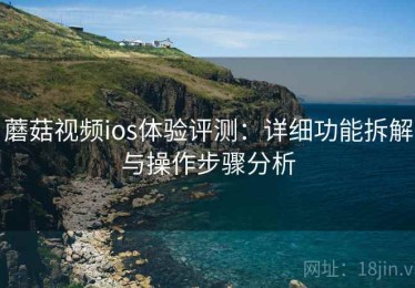 蘑菇视频ios体验评测：详细功能拆解与操作步骤分析