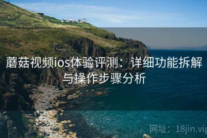 蘑菇视频ios体验评测：详细功能拆解与操作步骤分析