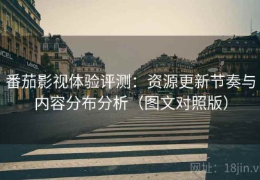 番茄影视体验评测：资源更新节奏与内容分布分析（图文对照版）