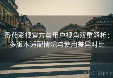 番茄影视官方与用户视角双重解析：多版本适配情况与使用差异对比