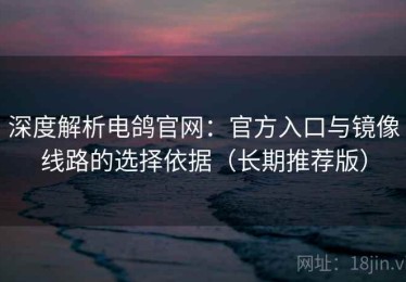 深度解析电鸽官网：官方入口与镜像线路的选择依据（长期推荐版）