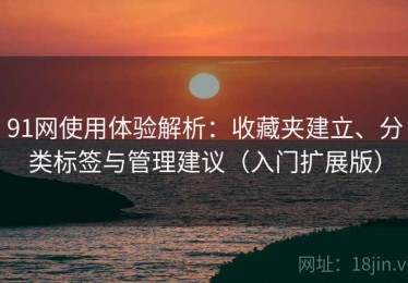 91网使用体验解析：收藏夹建立、分类标签与管理建议（入门扩展版）
