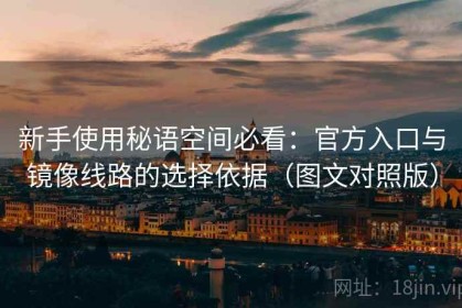 新手使用秘语空间必看：官方入口与镜像线路的选择依据（图文对照版）
