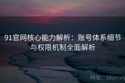 91官网核心能力解析：账号体系细节与权限机制全面解析