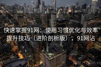 快速掌握91网：使用习惯优化与效率提升技巧（进阶剖析版），91网沾