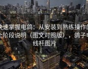 快速掌握电鸽：从安装到熟练操作的全阶段说明（图文对照版），鸽子电线杆图片