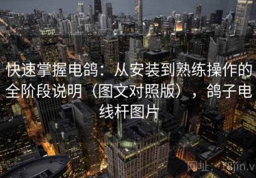 快速掌握电鸽：从安装到熟练操作的全阶段说明（图文对照版），鸽子电线杆图片