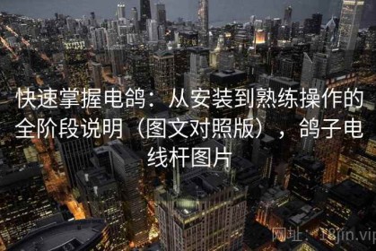 快速掌握电鸽：从安装到熟练操作的全阶段说明（图文对照版），鸽子电线杆图片