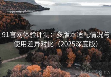 91官网体验评测：多版本适配情况与使用差异对比（2025深度版）