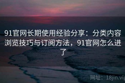 91官网长期使用经验分享：分类内容浏览技巧与订阅方法，91官网怎么进了
