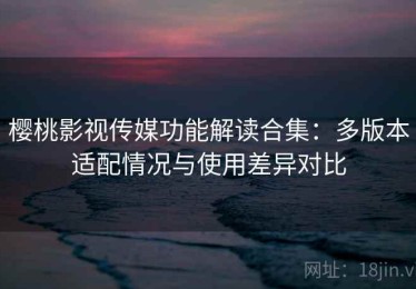 樱桃影视传媒功能解读合集：多版本适配情况与使用差异对比