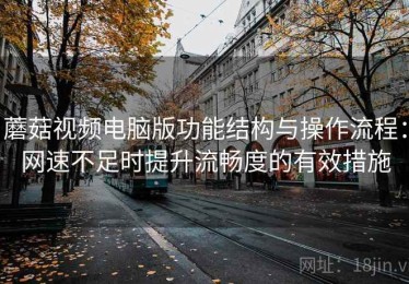 蘑菇视频电脑版功能结构与操作流程：网速不足时提升流畅度的有效措施