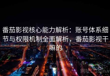 番茄影视核心能力解析：账号体系细节与权限机制全面解析，番茄影视干嘛的