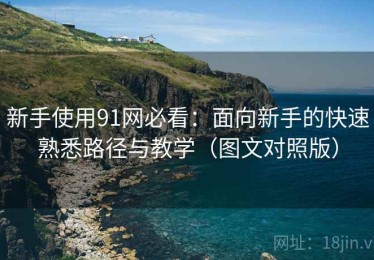 新手使用91网必看：面向新手的快速熟悉路径与教学（图文对照版）