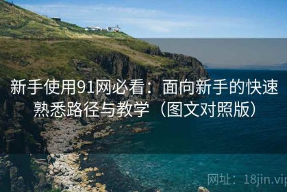新手使用91网必看：面向新手的快速熟悉路径与教学（图文对照版）